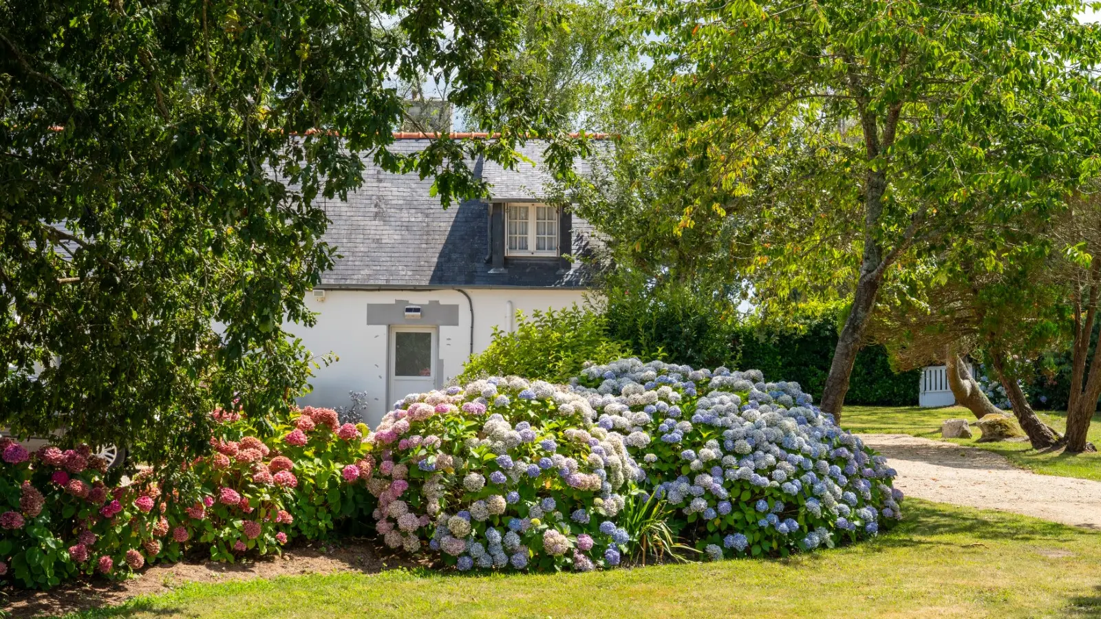 1c568d2b-74ae-42df-801d-3285a75933a2