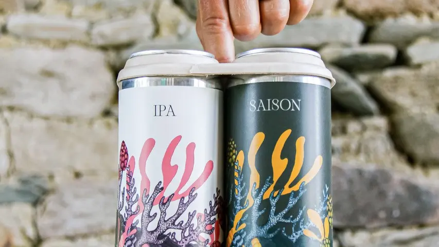 Brasserie artisanale Kauri Brewery - Plovan - Pays Bigouden