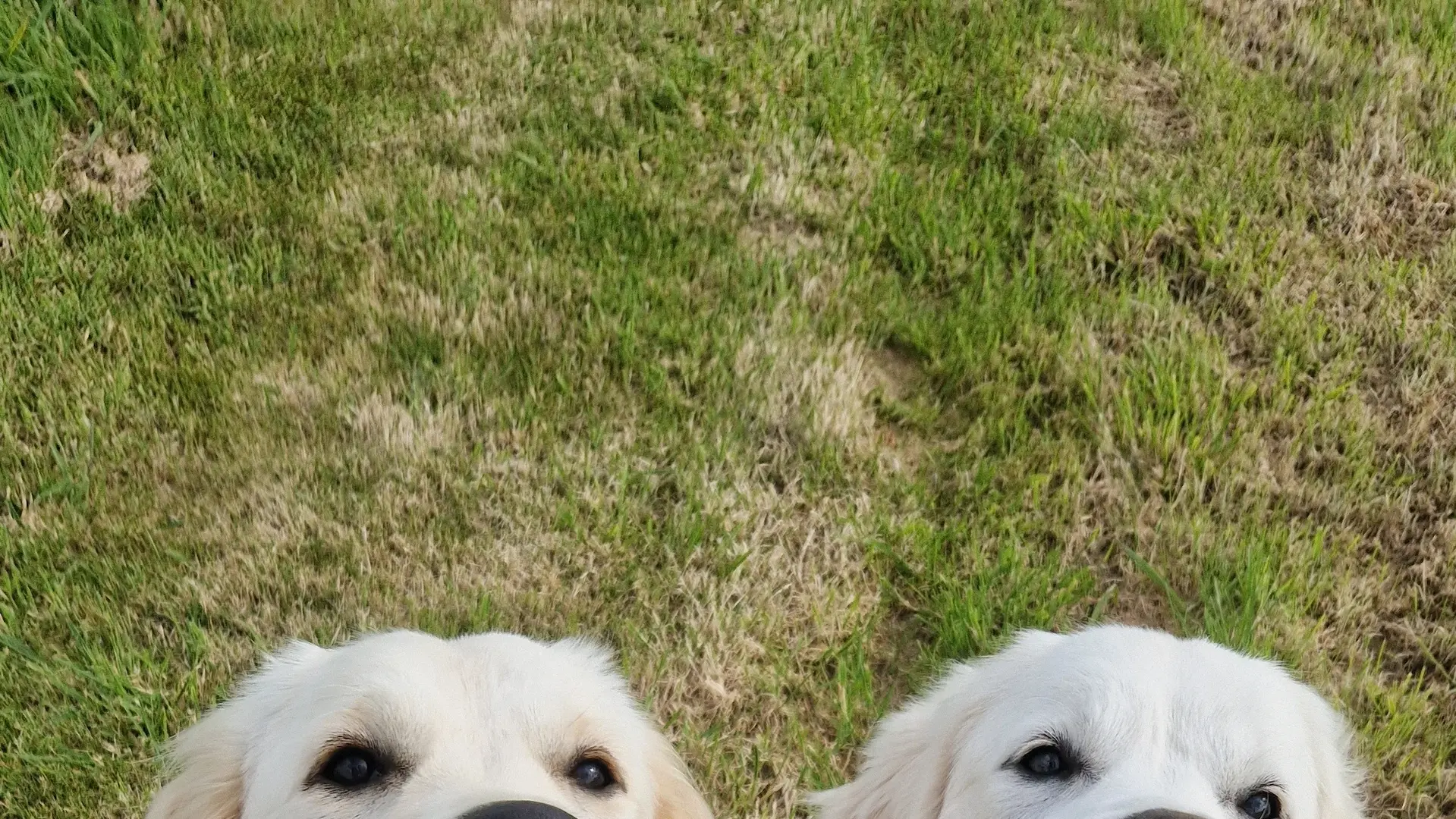 Promenades éducatives