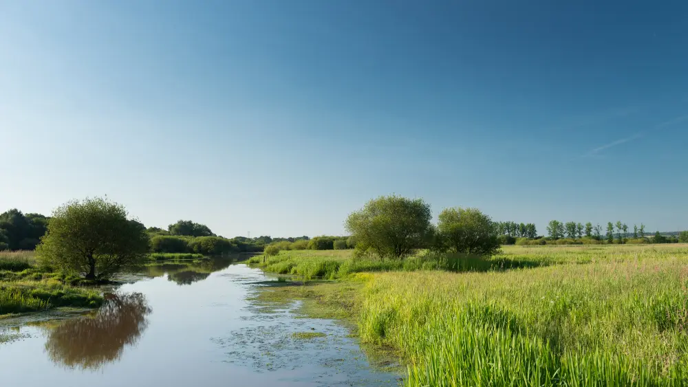 Le marais de Gannedel