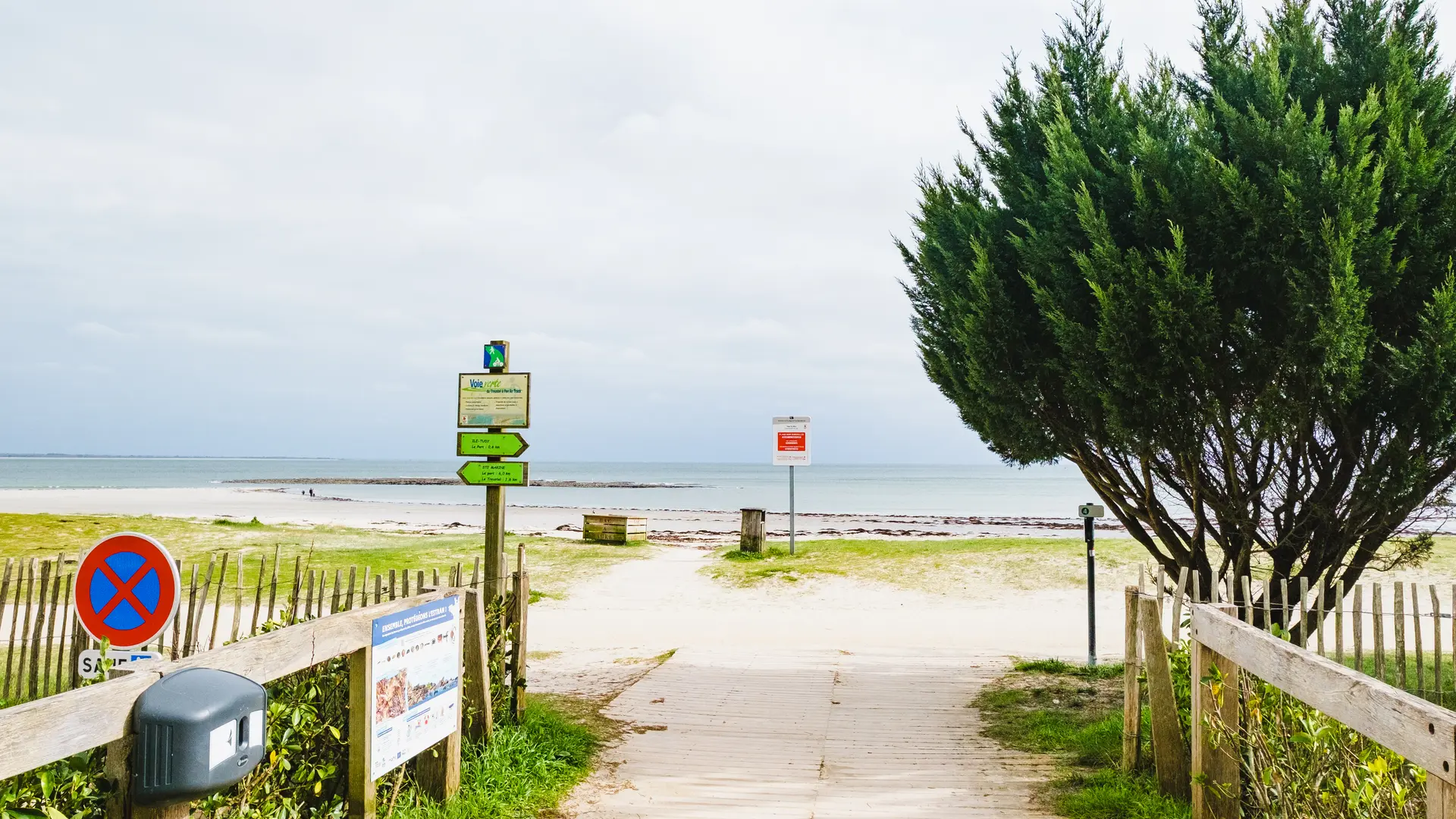 Le long des plages de l'Île-Tudy - Ile-Tudy - Pays bigouden