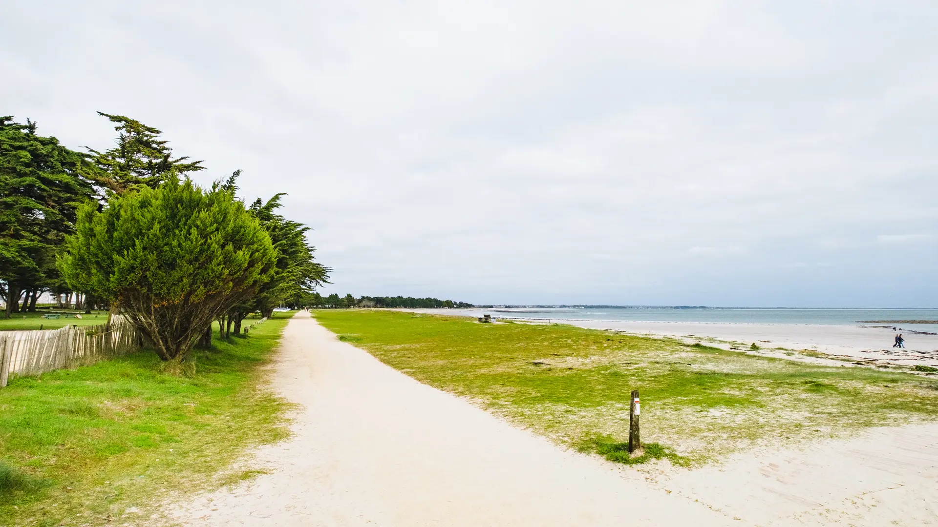 Le long des plages de l'Île-Tudy - Ile-Tudy - Pays bigouden