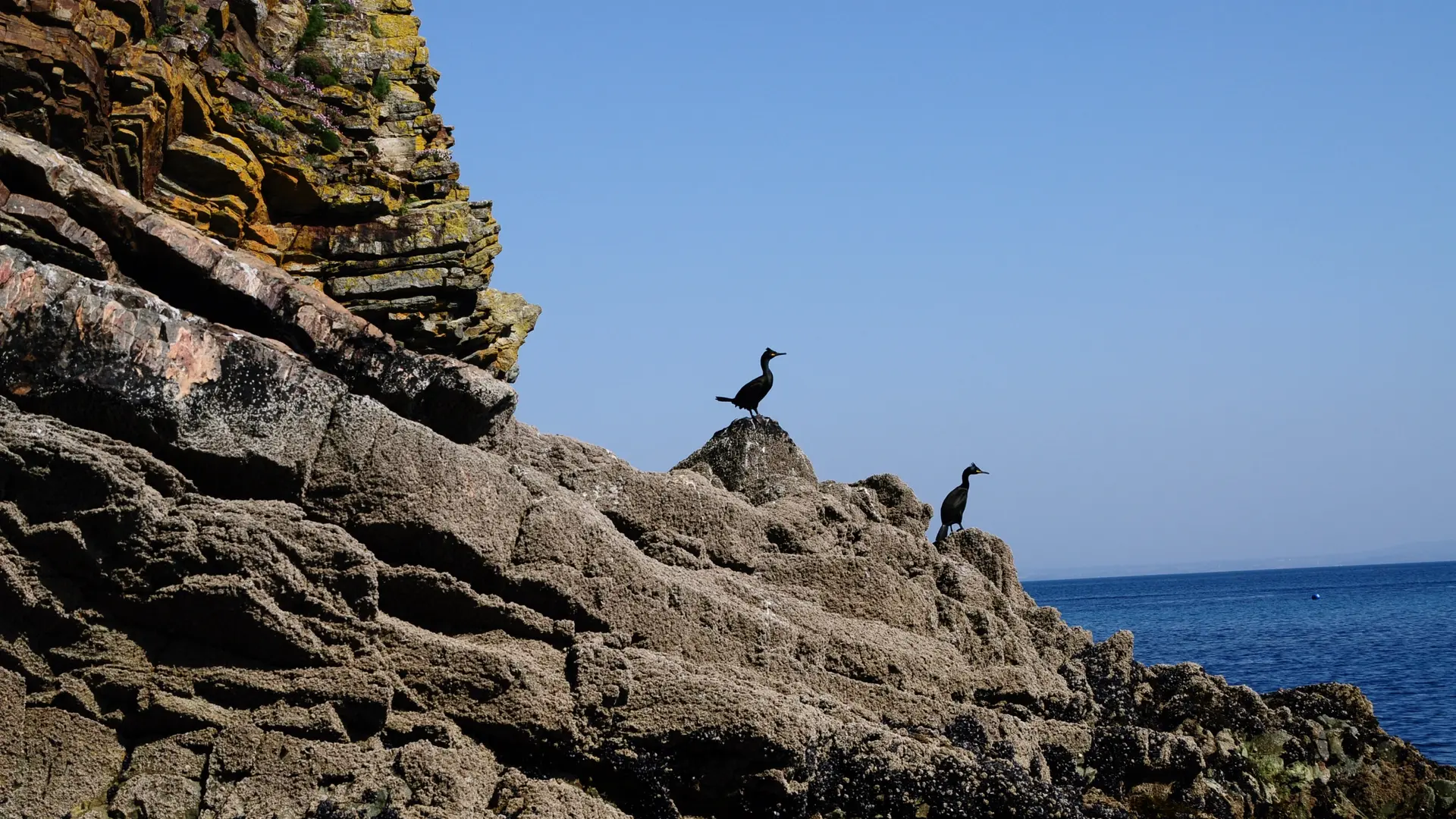 2017-04-21 16.32.18.jpg