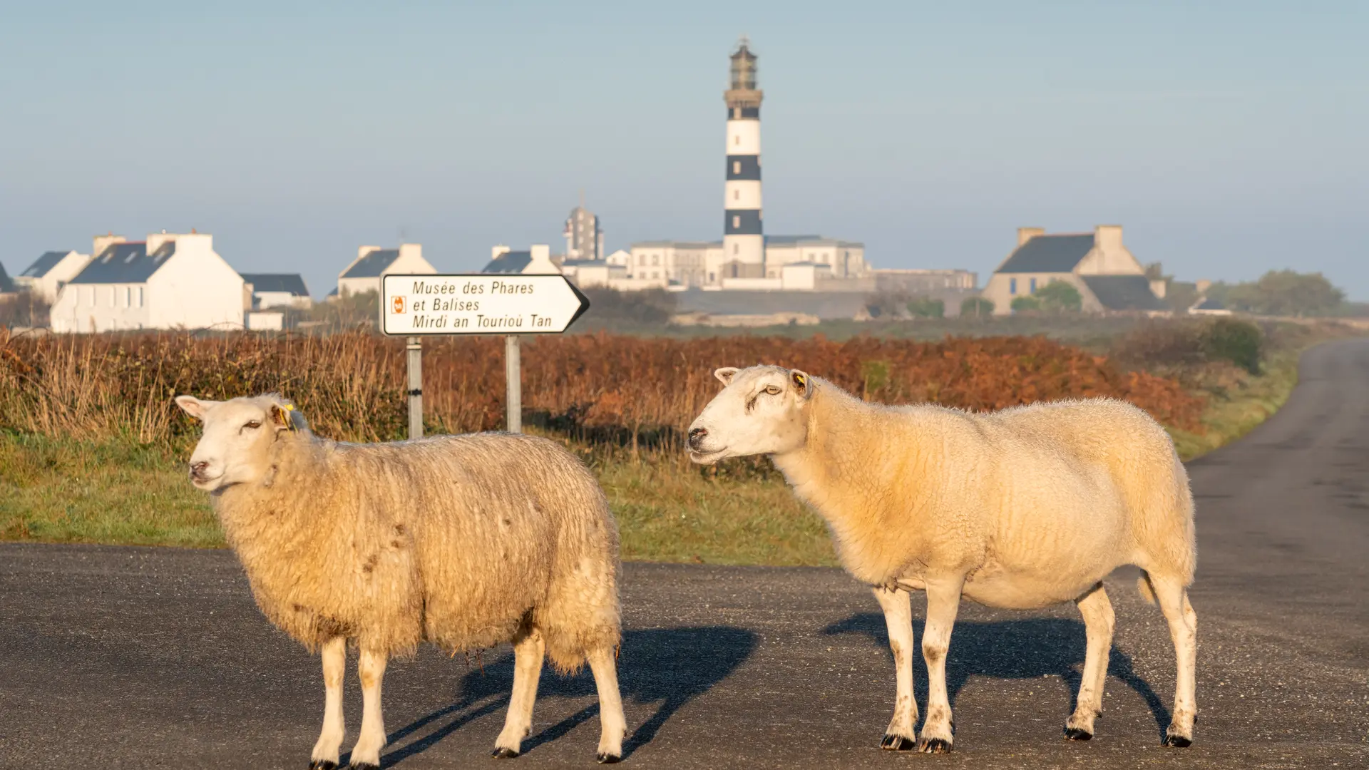 2018_1022_Bretagne_Finistere_Ouessant_PhareDuCreach_MRV08781_MRi