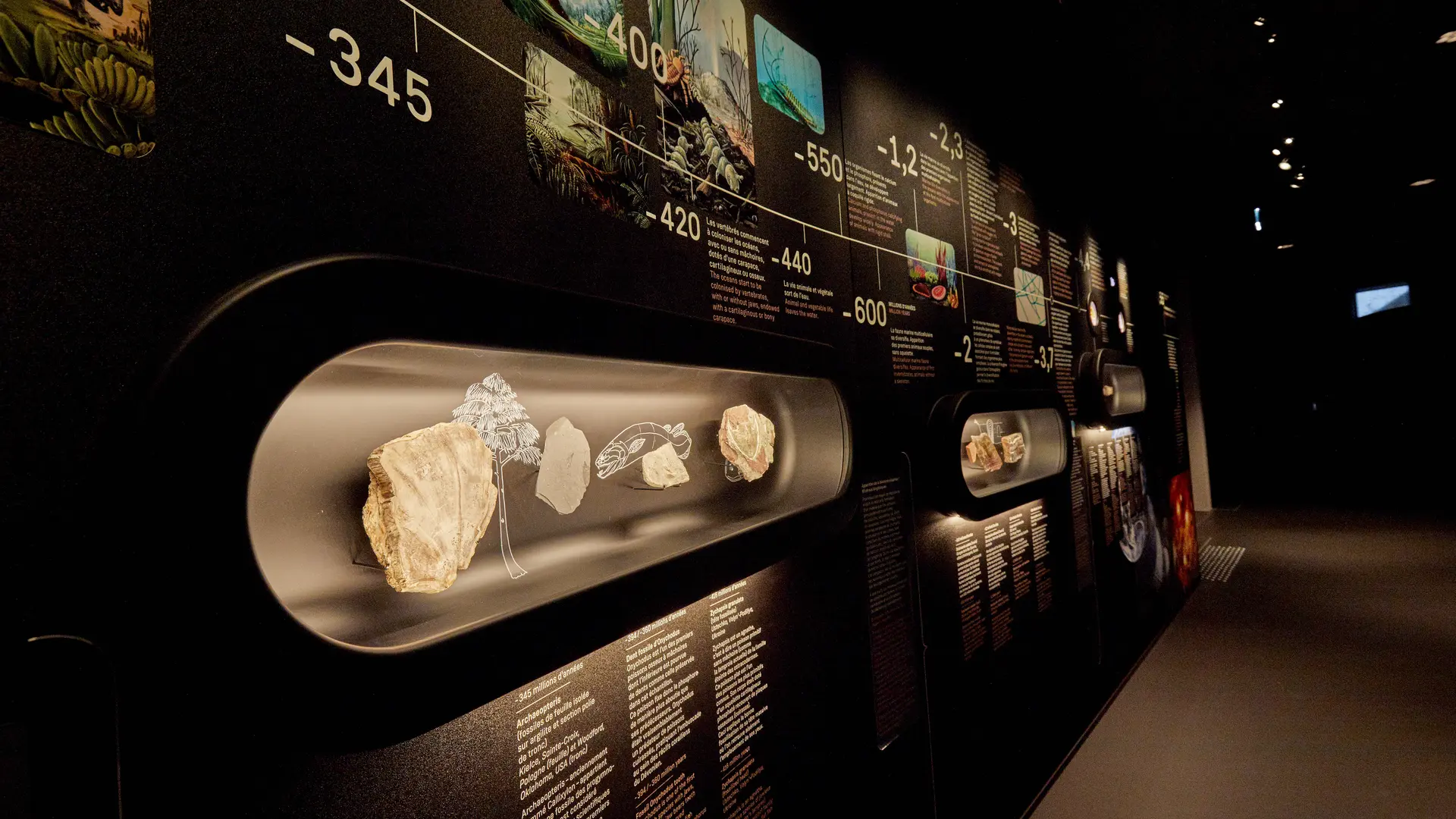 Le minerallium - Saint-Malo