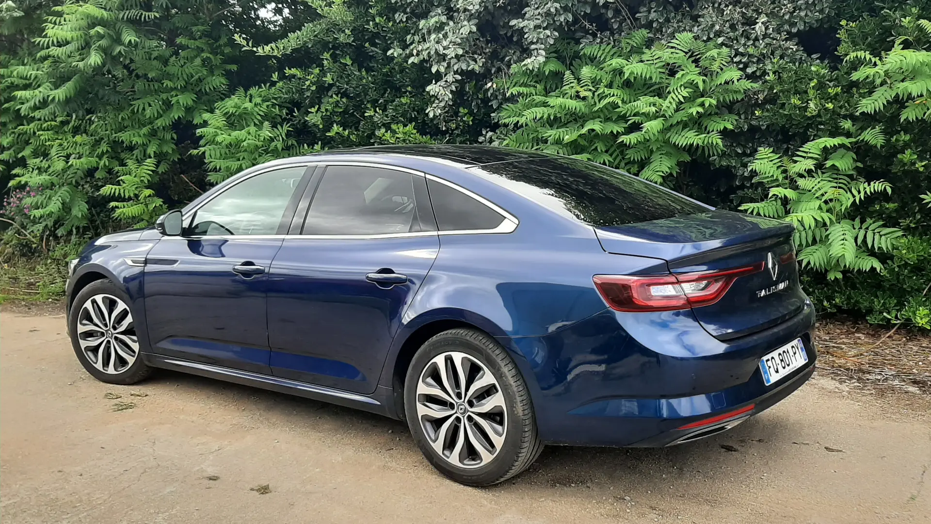 Griffon Jean François