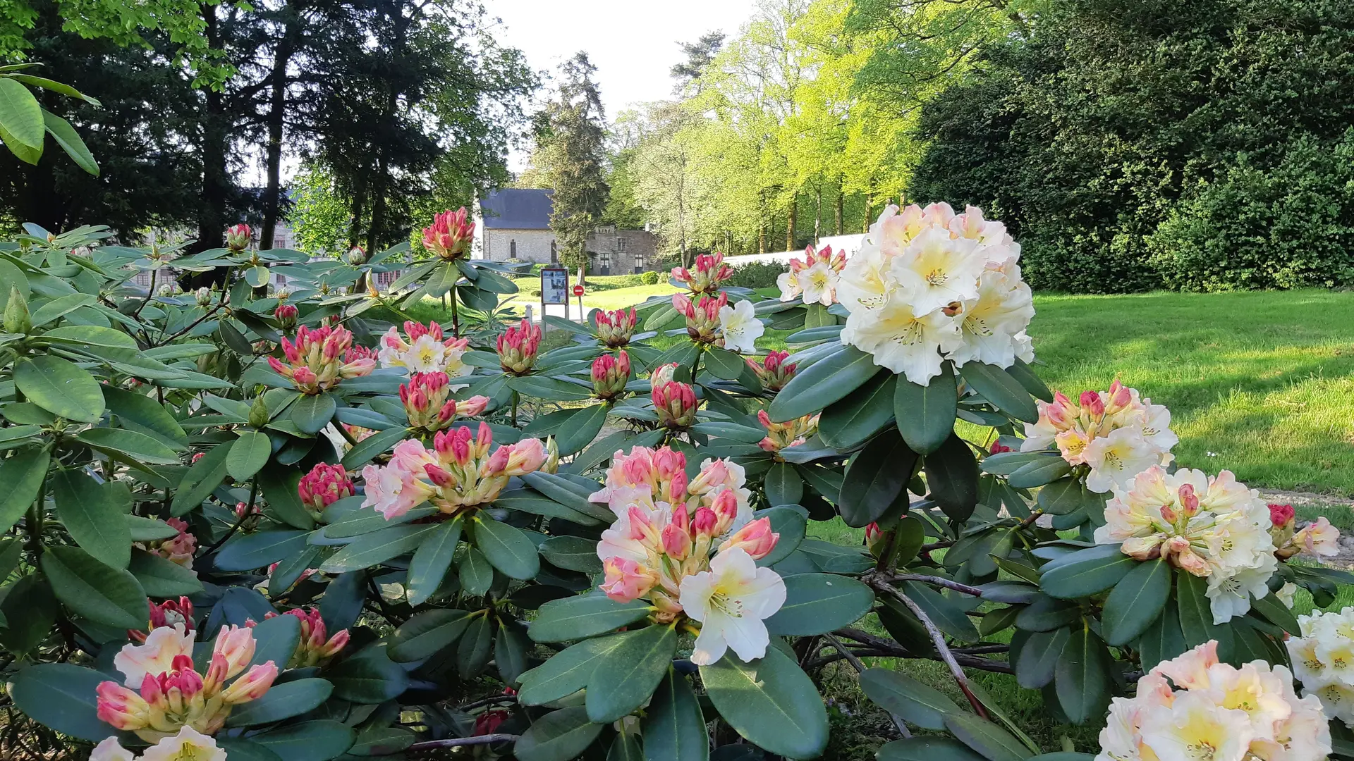 Parc du Bois Cornillé