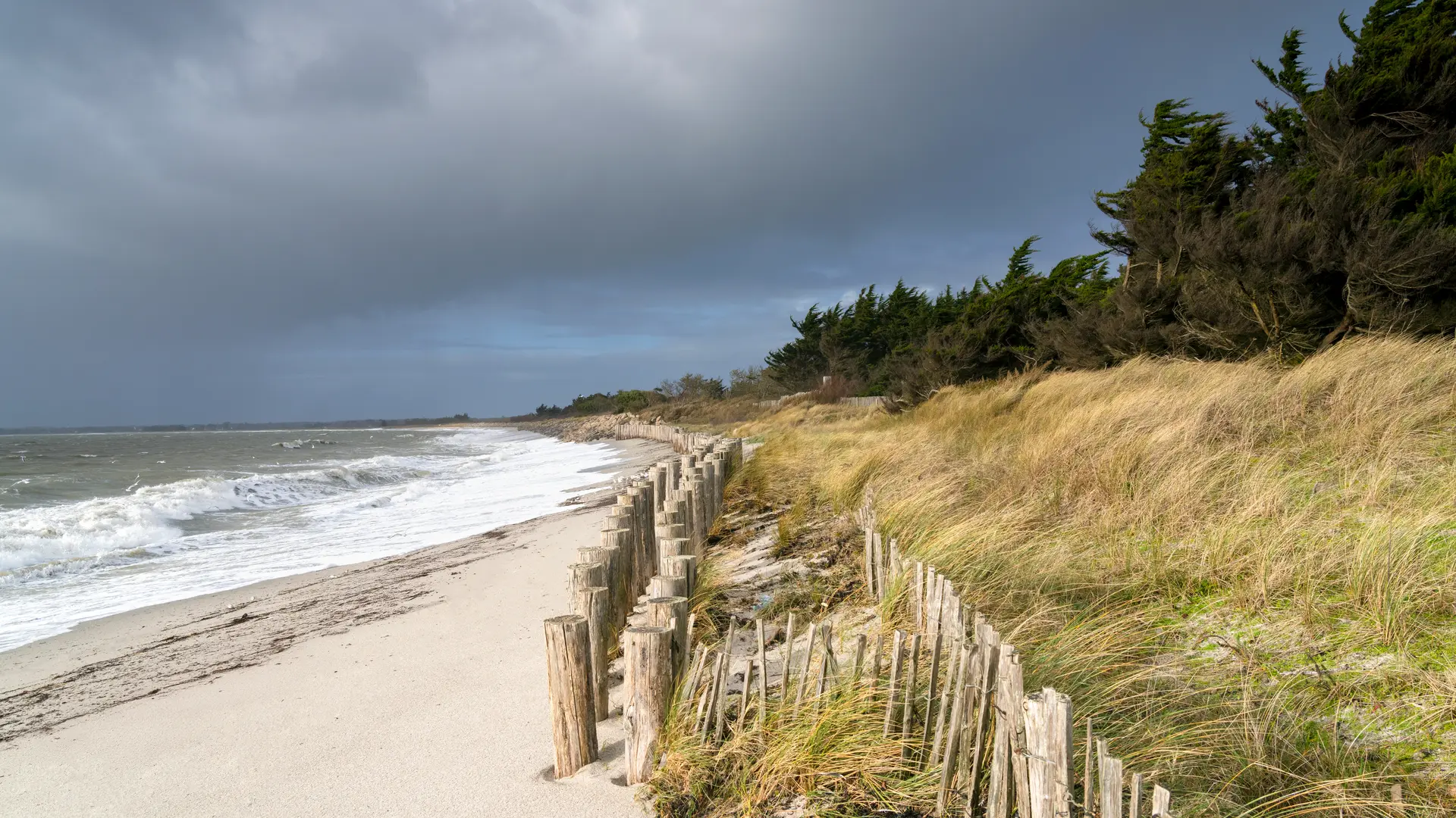 2025_0128_Bretagne_Finistère_Fouesnant_Mousterlin_DSC03841_RLe
