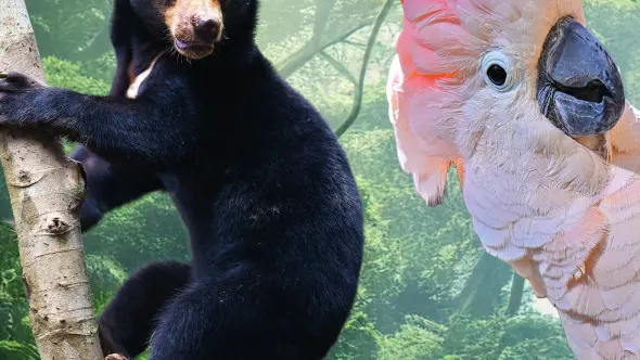 2025_Visuel°Trégomeur_150_244mm