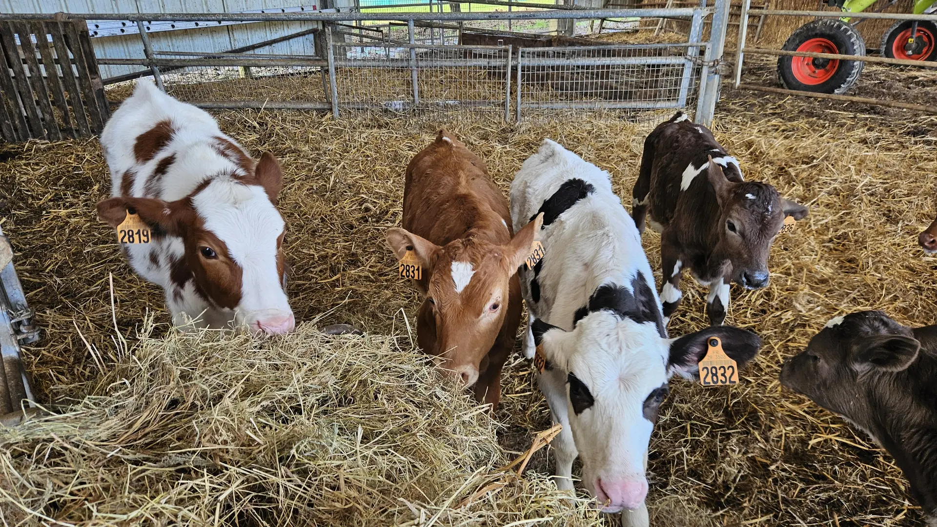 Location Le Donge -Ploneour-lanvern-Pays bigouden - Bigoudenjoy