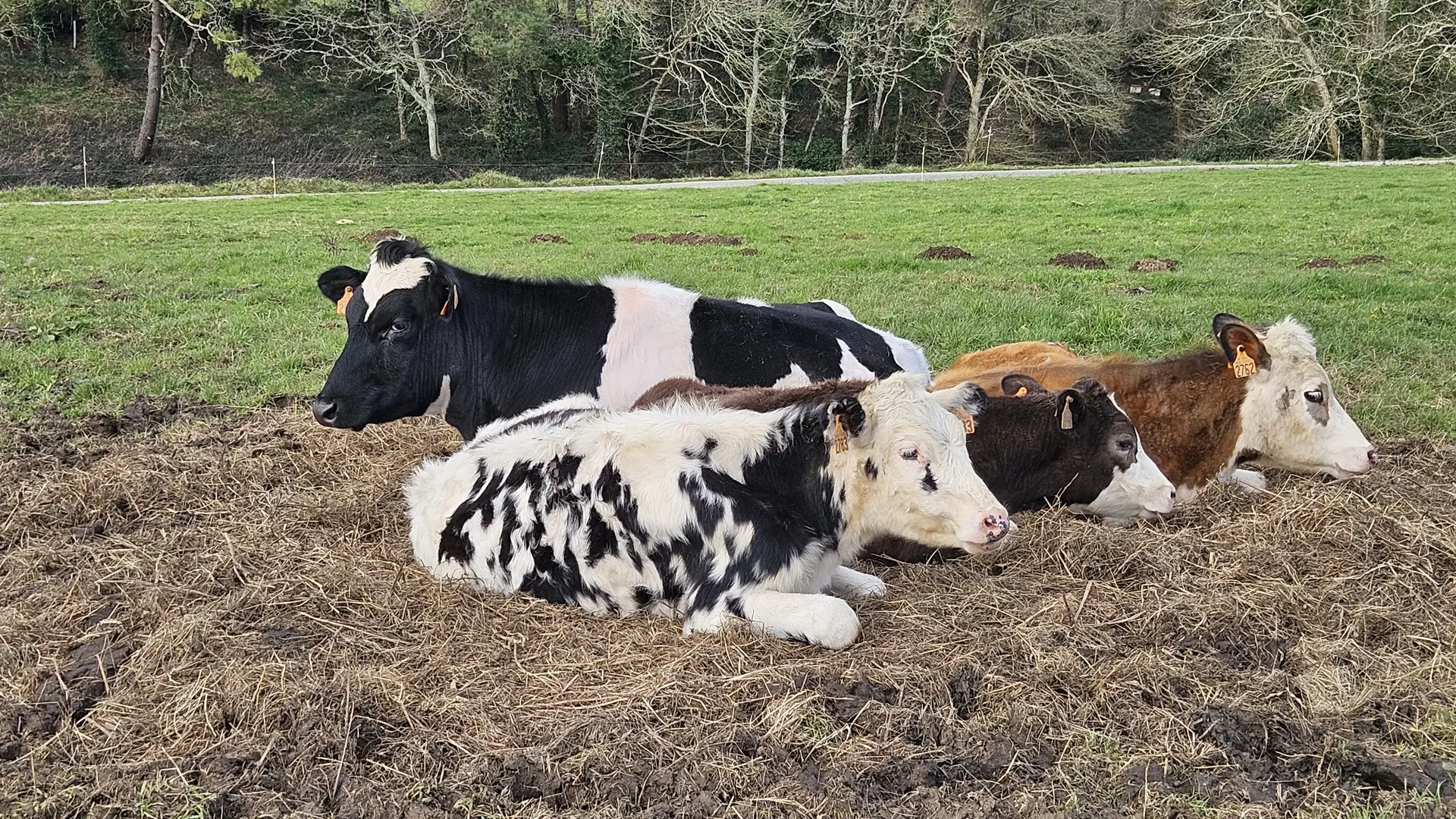 Location Le Donge -Ploneour-lanvern-Pays bigouden - Bigoudenjoy