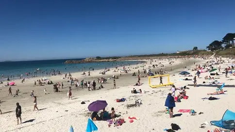 2020-07 Trestel monde JT mini