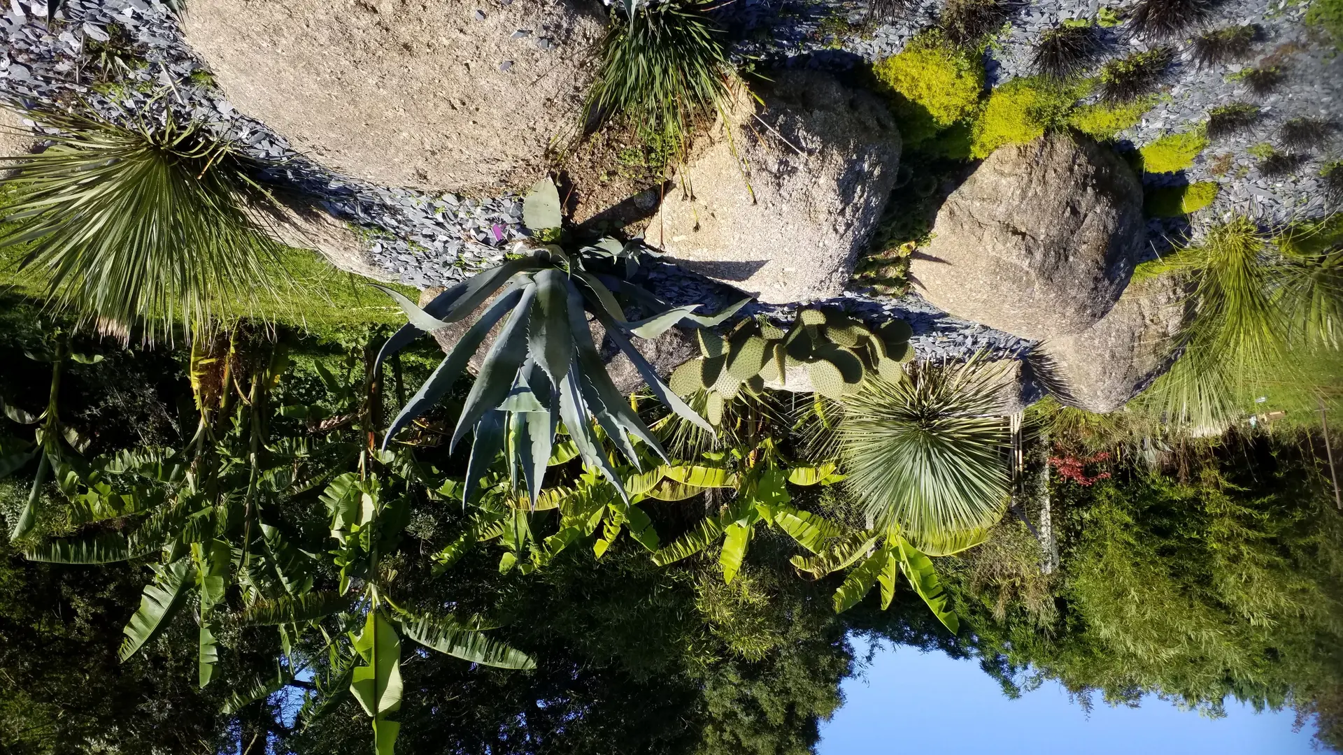 LA_VALLEE_DES_BAMBOUS_Plougonver