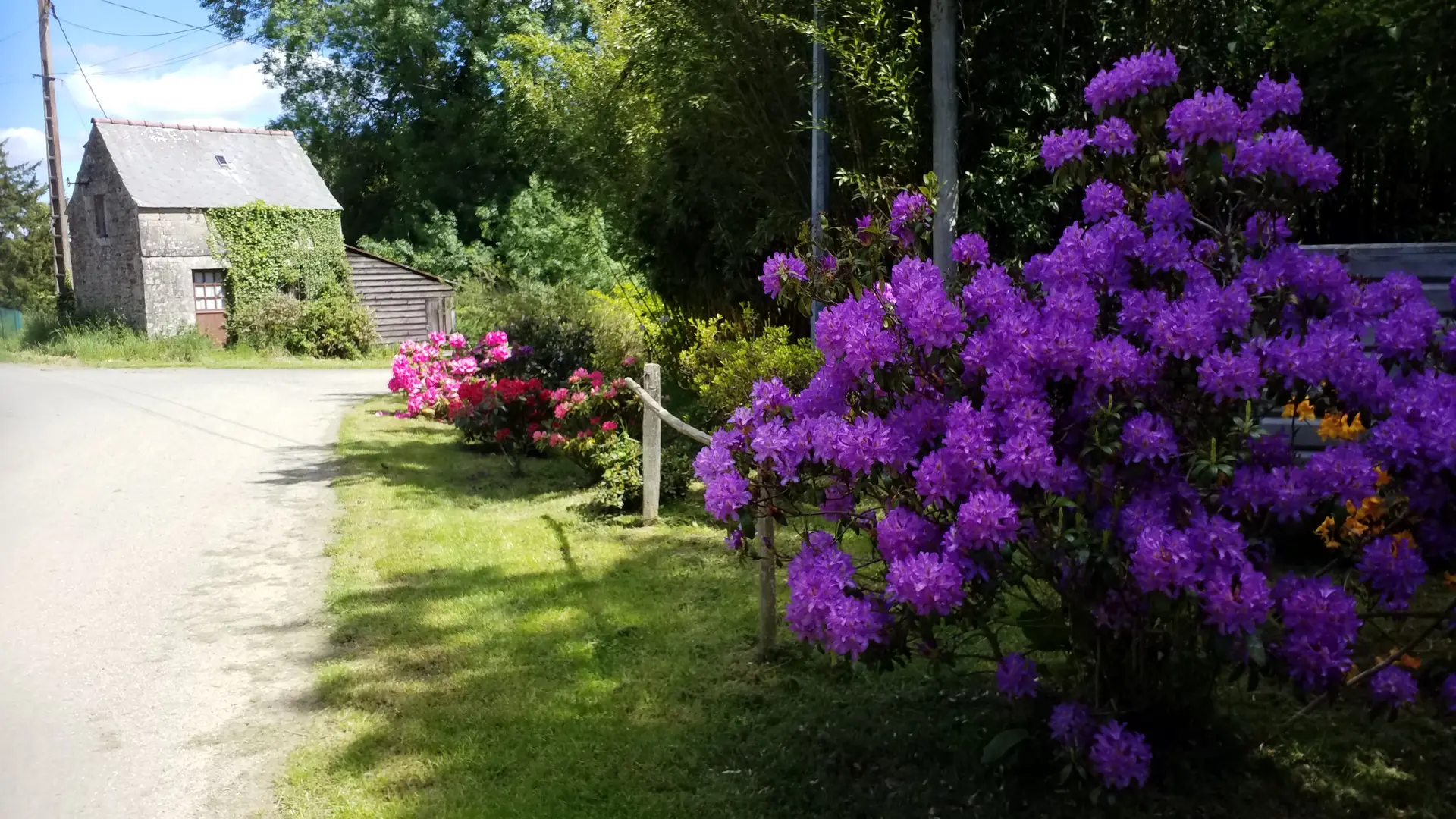 LA_VALLEE_DES_BAMBOUS_Plougonver