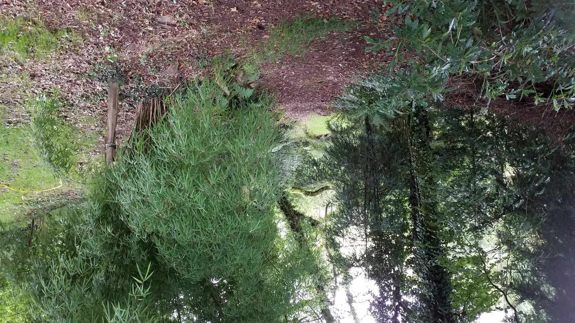 LA_VALLEE_DES_BAMBOUS_Plougonver