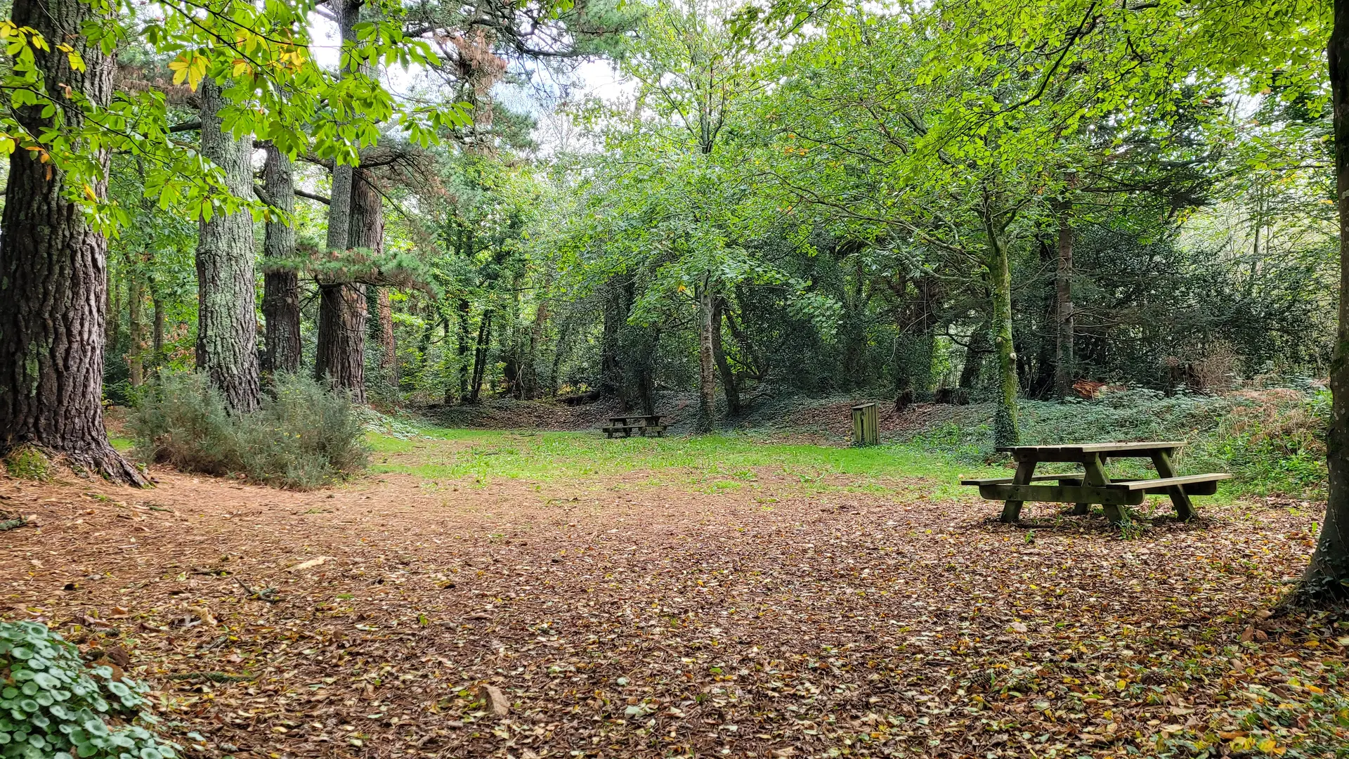 Circuit la Fontaine et le Gourret  Landudec - Pays Bigouden