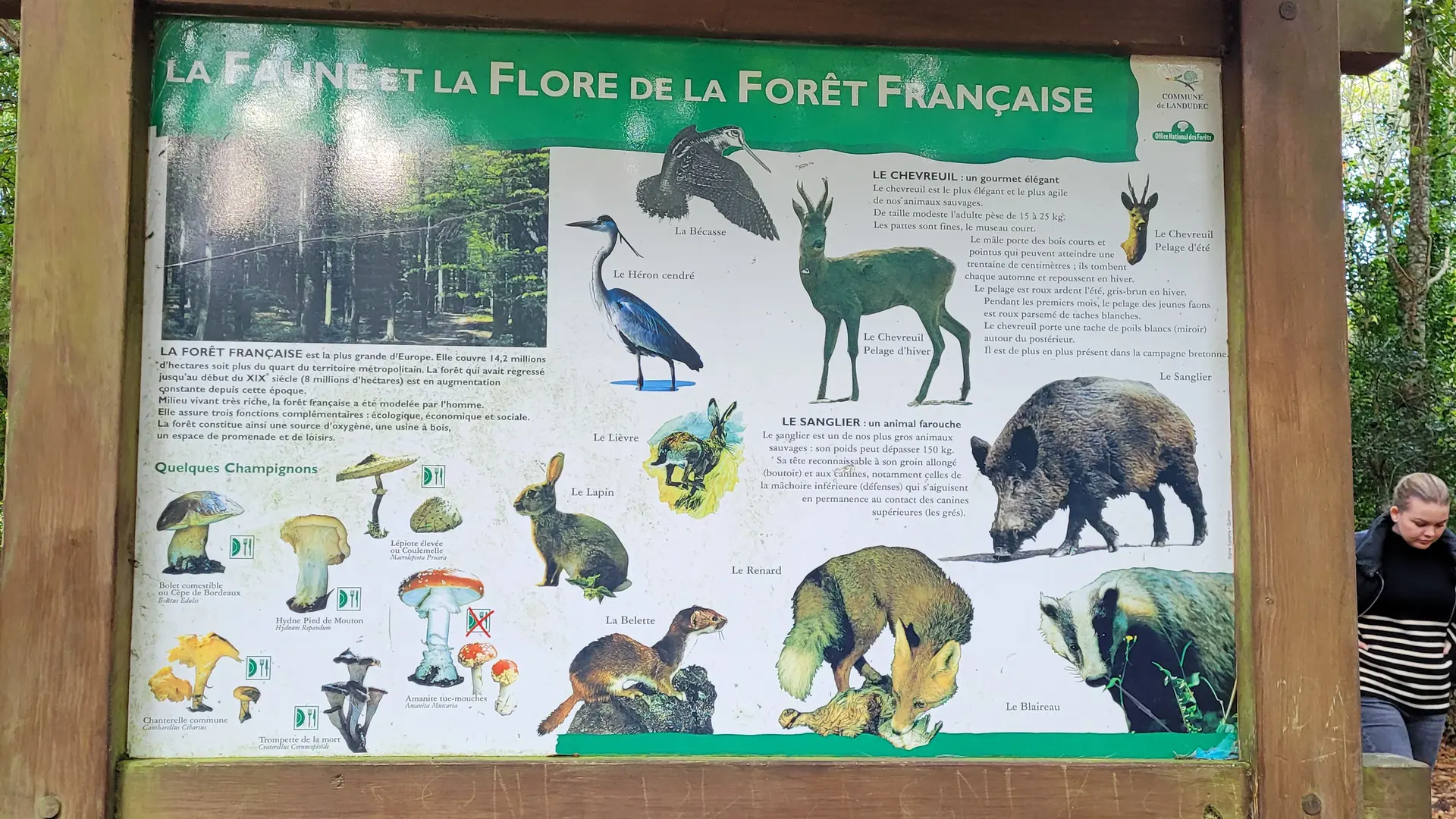 Circuit la Fontaine et le Gourret  Landudec - Pays Bigouden