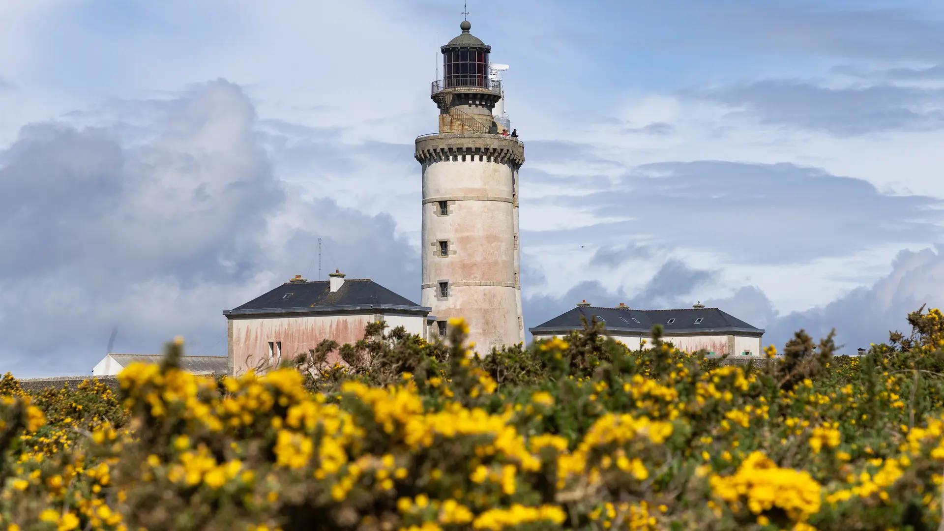 2023_0504_Bretagne_Finistere_Ouessant_Stiff_Earth_0O1A2320_RLe