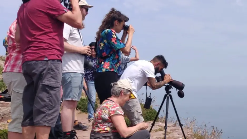 Sortie ornithologique