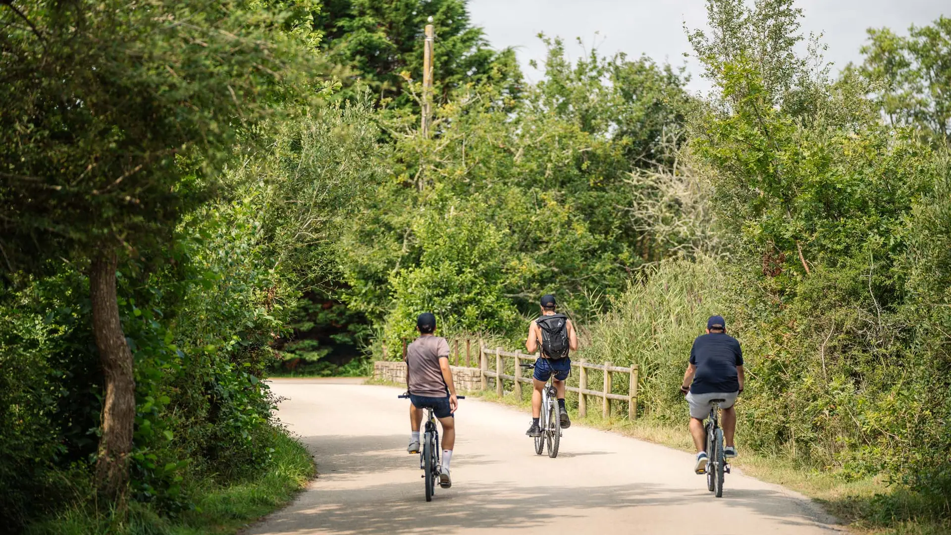 239-SB-Fouesnant-Marais de Mousterlin-BD©JeremyJehanin-2024