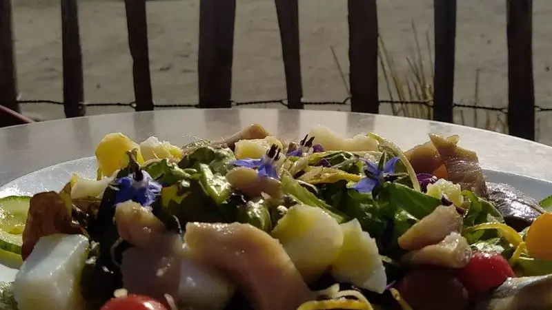 Restaurant Tara Cantine de mer - Lesconil - Pays Bigouden - Bigoudenjoy