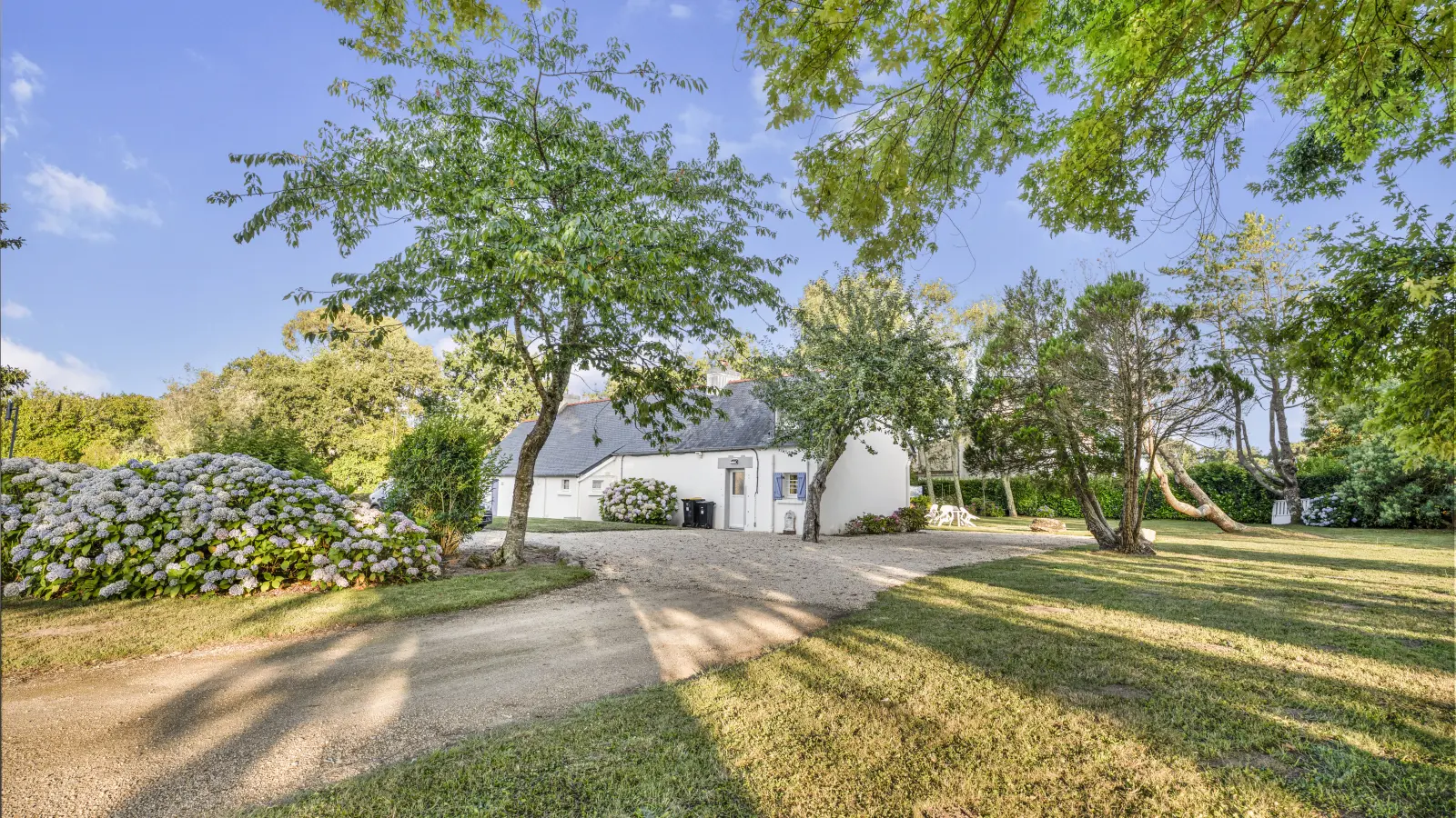 2682ca87-9e96-44f9-ac4f-e4182bc0ec2f