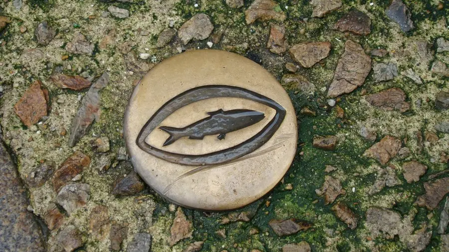 Douarnenez- Cheminde la sardine