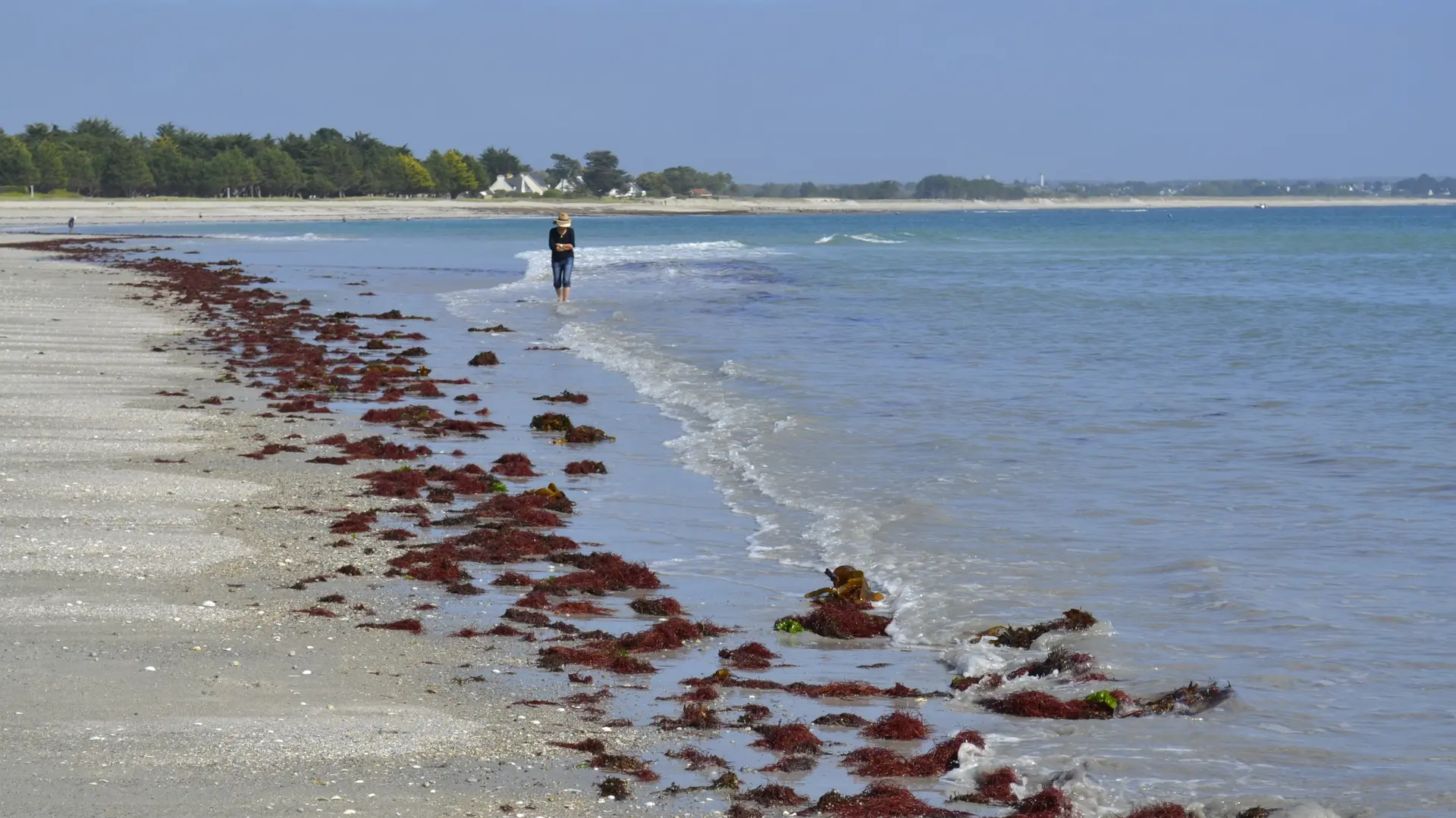Plage Sillon 2 - Ile Tudy - Pays bigouden sud