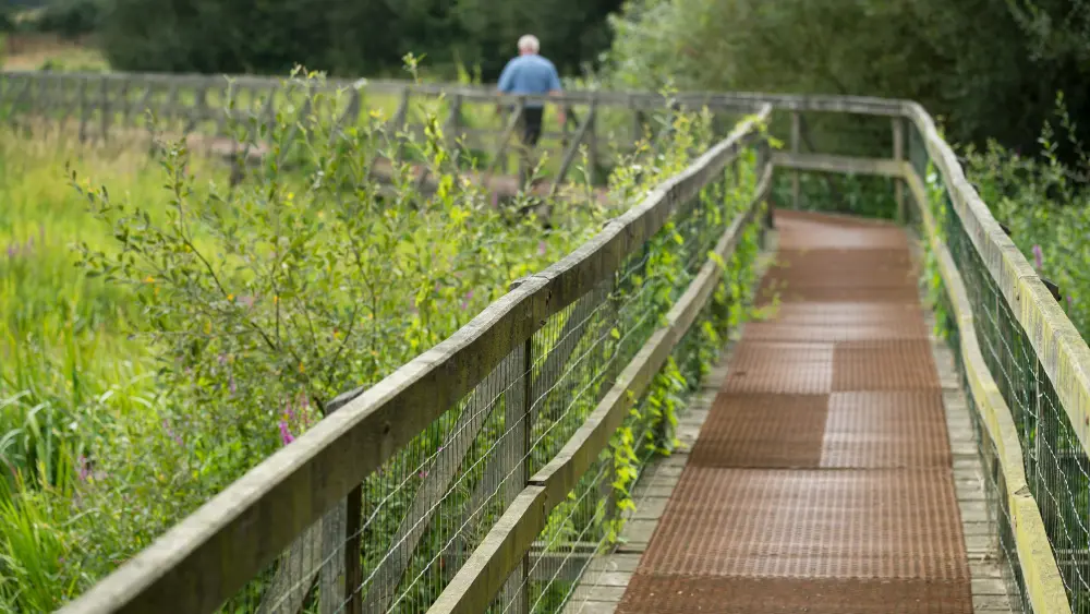 Le marais de Gannedel