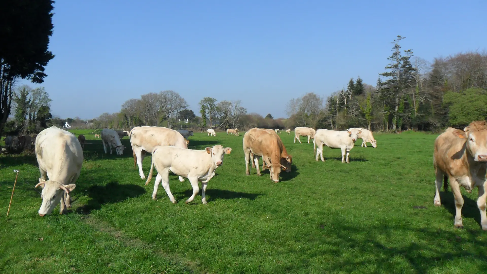 Camping Bienvenue à la Ferme de Léanou