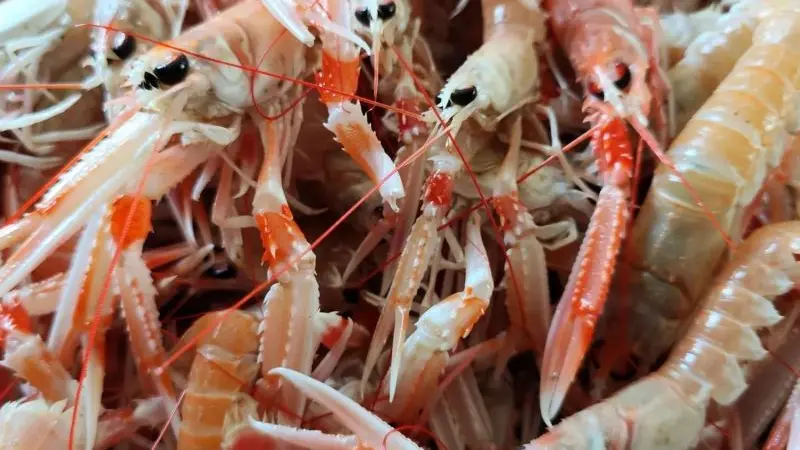 Restaurant Tara Cantine de mer - Lesconil - Pays Bigouden - Bigoudenjoy