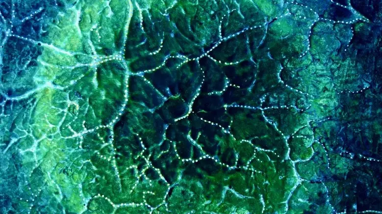 Atelier Galerie -Jeanne Céline- St-Jean-Trolimon-Pays-Bigouden-Bigoudenjoy