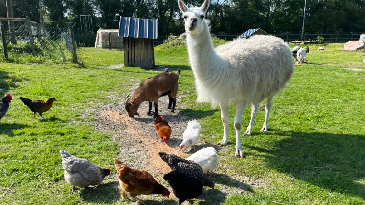 375764388_842565323786156_449505647567916136_n