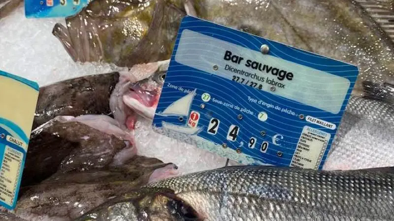 L'Epicerie de famille - La poissonnerie - Penmarc'h - Pays Bigouden -Bigoudenjoy