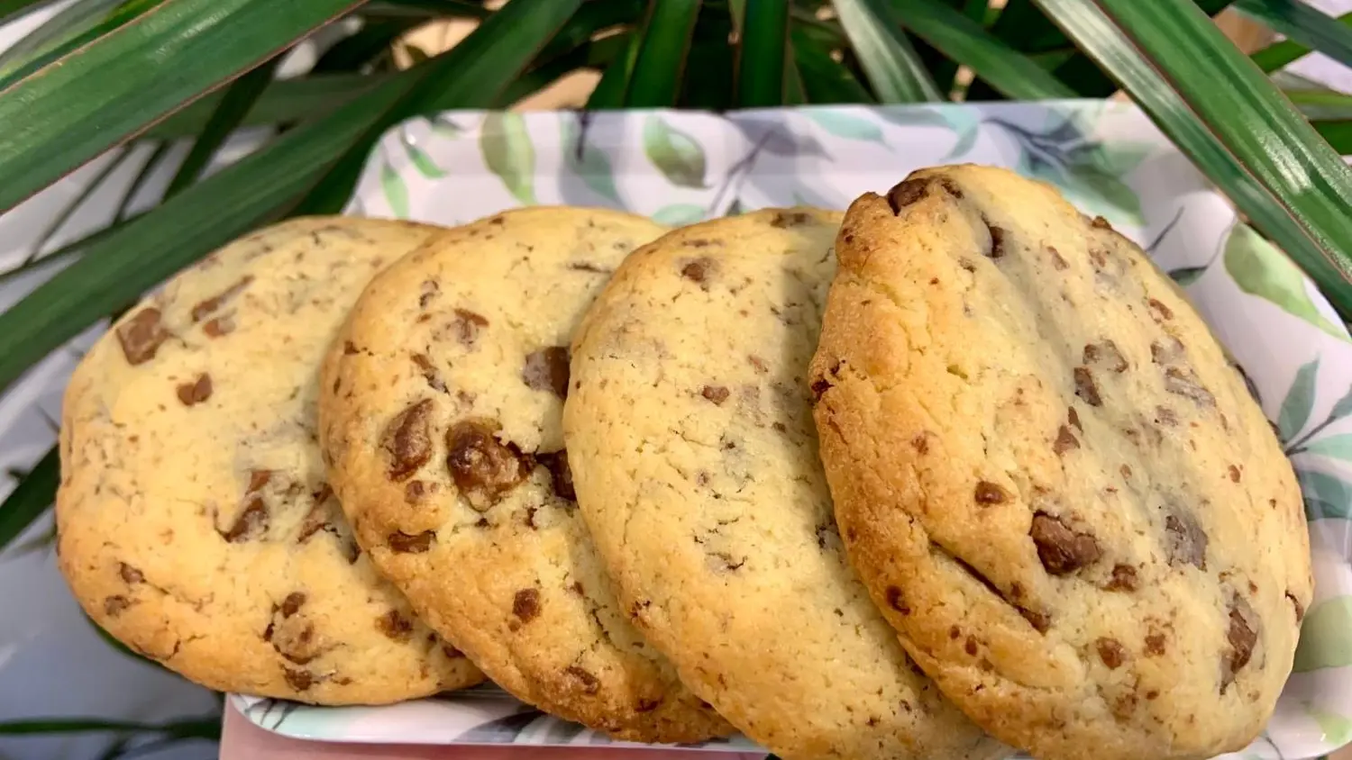 Le Chat perché - Pont-L'Abbé - Pays Bigouden - Bigoudenjoy