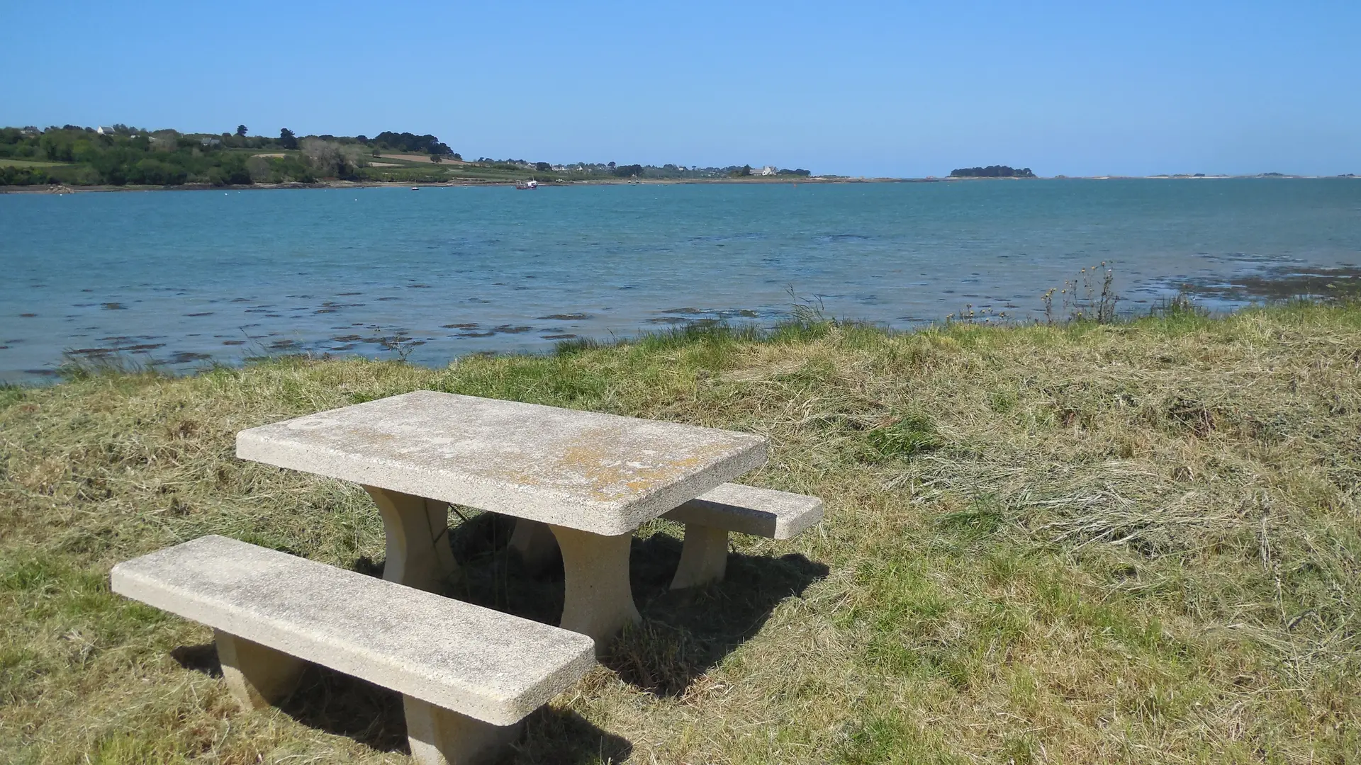 table pic nic Bellevue