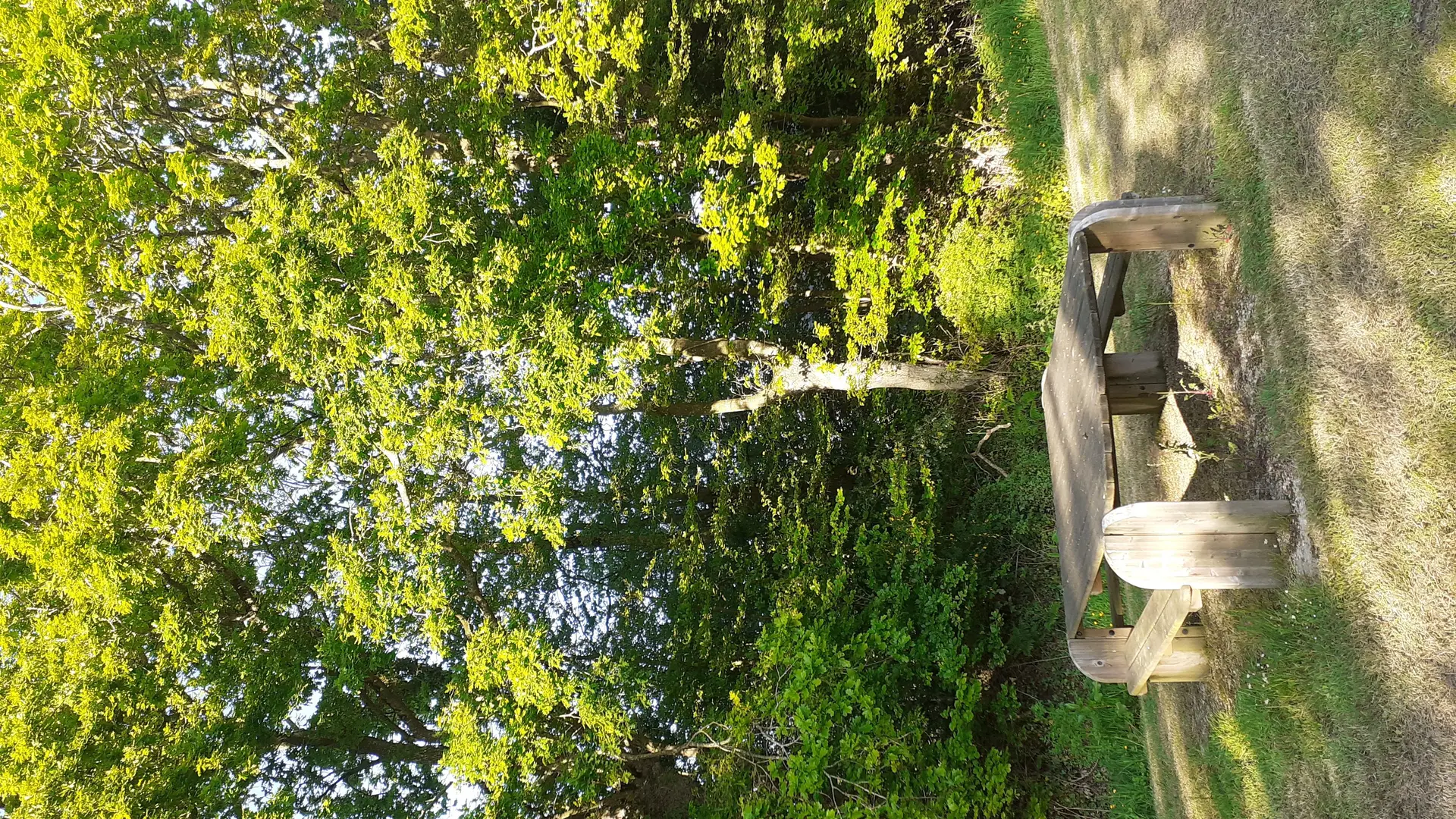 table pique nique bourg tonquédec (2)