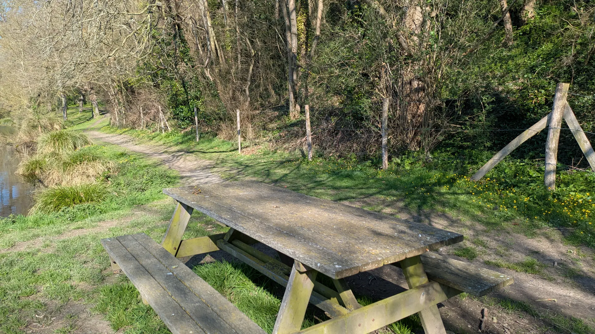 table pique nique milin saezh est (2)