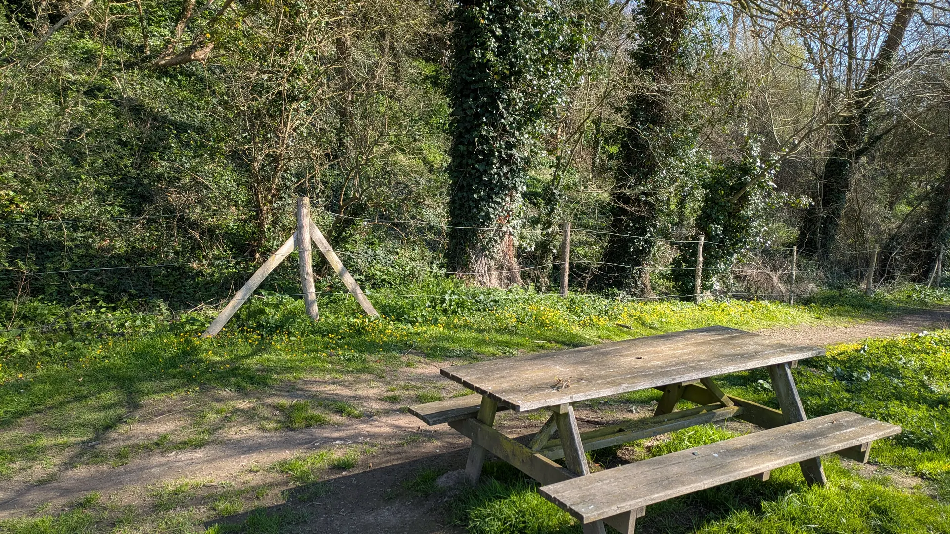 table pique nique milin saezh est (3)