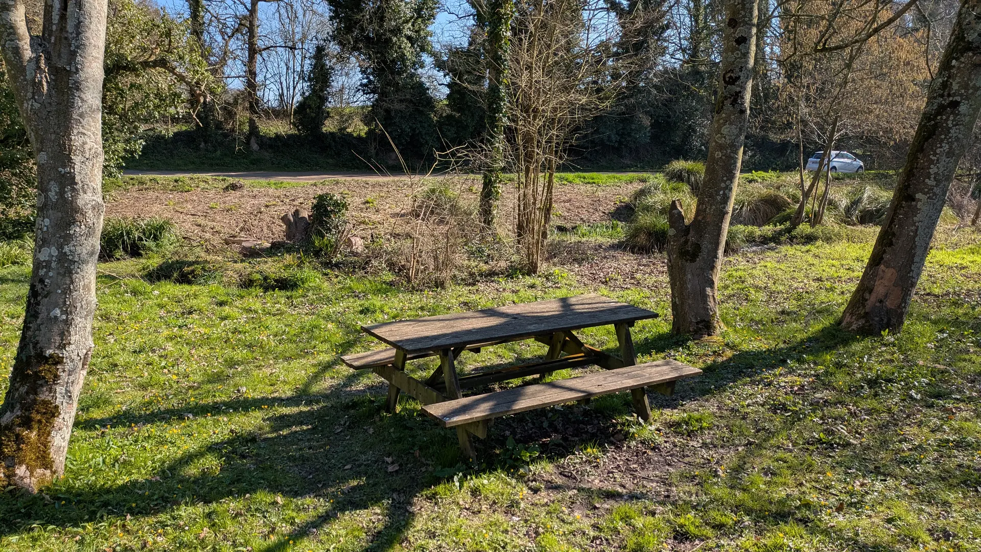 table pique nique milin saezh ouest (2)