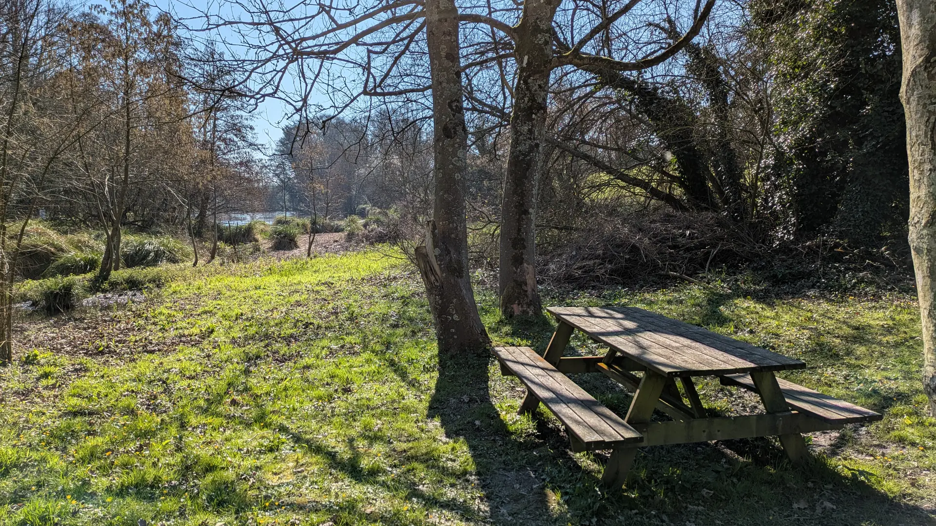 table pique nique milin saezh ouest (3)