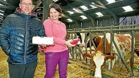 Glaces de Pendréo - 1