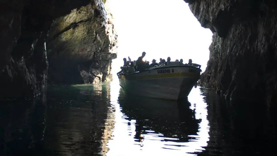 vedettes-sirenes-grottes-marines-crozon-bateau ©Vedettes Sirenes (5)