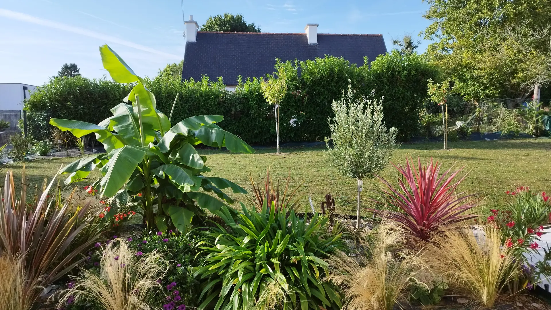 vegetationété 2025