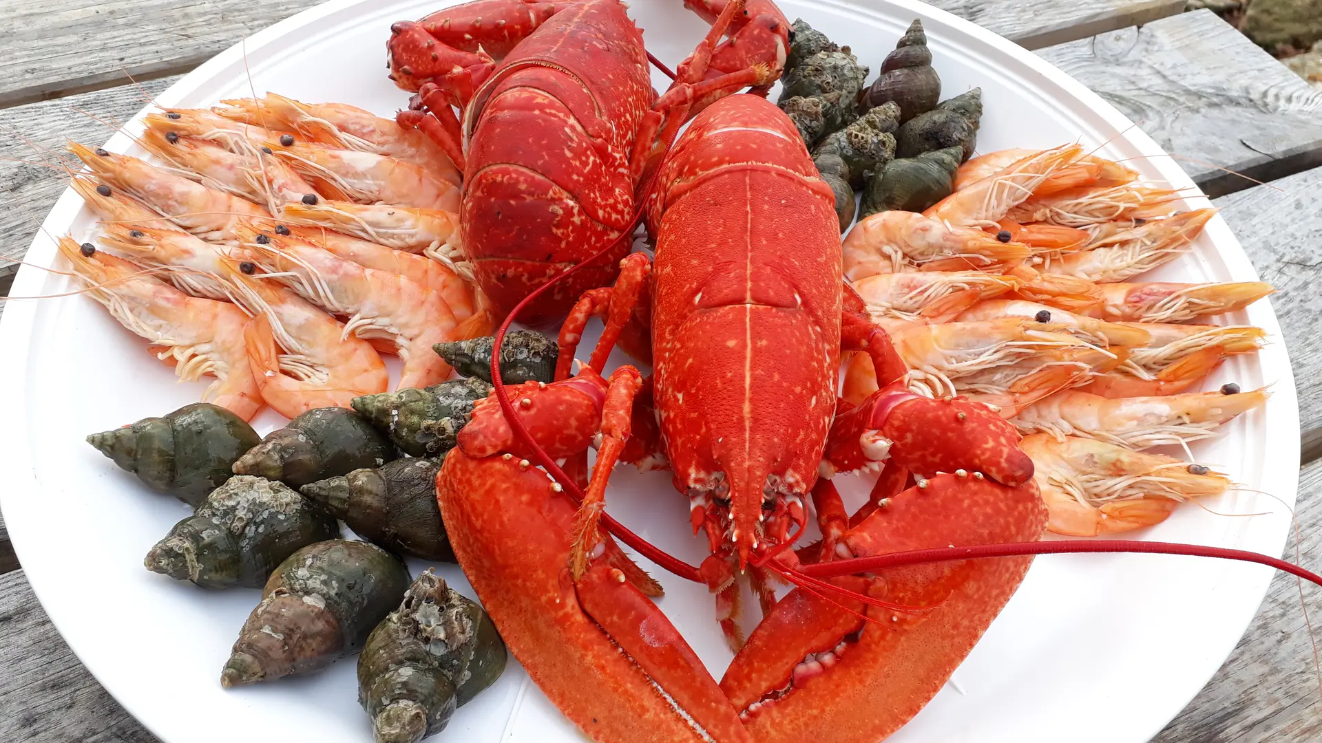 Plateau de fruits de mer