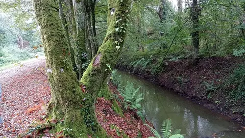 Circuit le transbigouden - Pont-l'Abbé - Pays Bigouden
