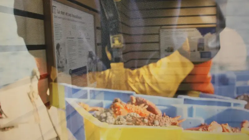 Milmarin_Ploubazlanec_Exposition Rivages partagés