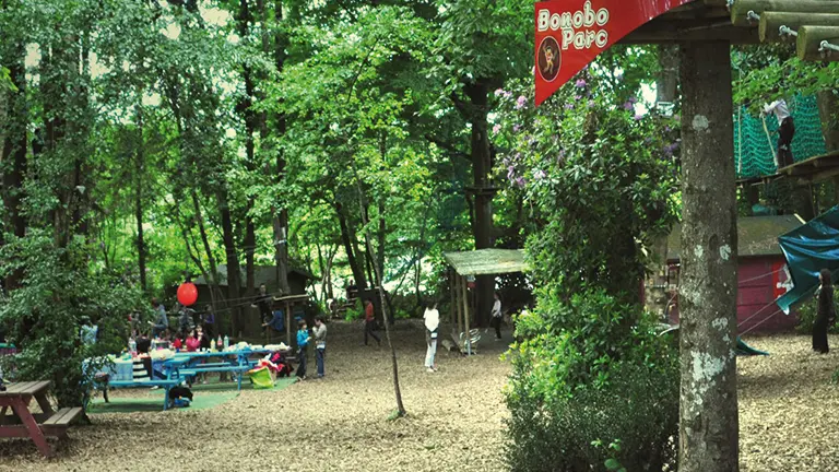 Bonobo Parc