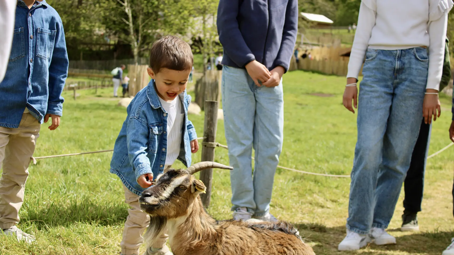 AVEN PARC - Parc de loisirs et d'attractions - de Concarneau à Pont-Aven 15