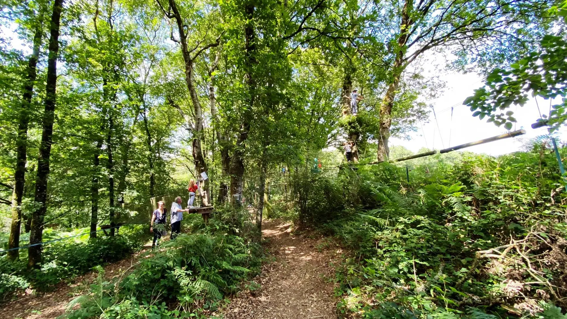 Ateliers dans les arbres